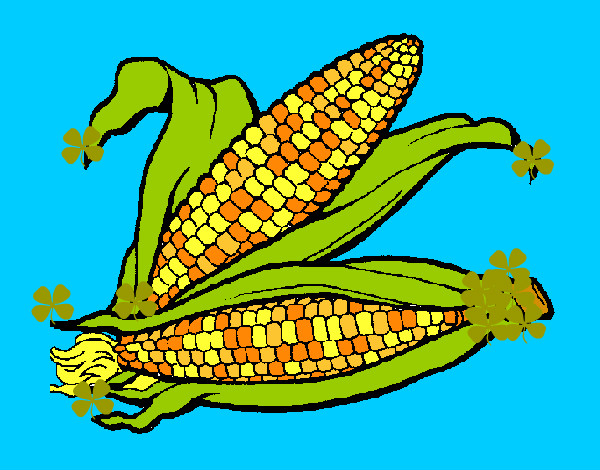 Dibujo Mazorca de maíz pintado por Tecna