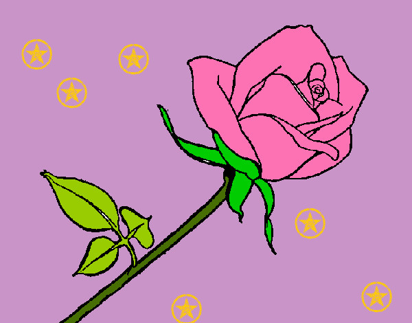 Dibujo Rosa pintado por pabloreal