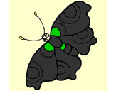 Dibujo Mariposa 11 pintado por Carliss