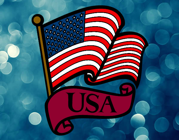 Dibujo Bandera de los Estados Unidos pintado por zandy14