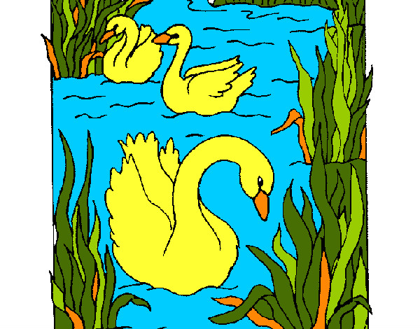 Dibujo Cisnes pintado por beatrizele