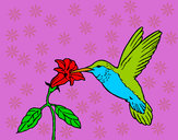 Dibujo Colibrí y una flor pintado por VERONIKAA