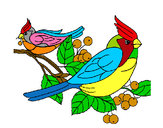 Dibujo Pájaros pintado por mastinalfa