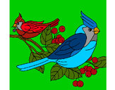 Dibujo Pájaros pintado por yola-2
