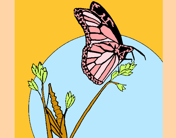 Dibujo Mariposa en una rama pintado por Camitini