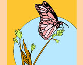Dibujo Mariposa en una rama pintado por Camitini