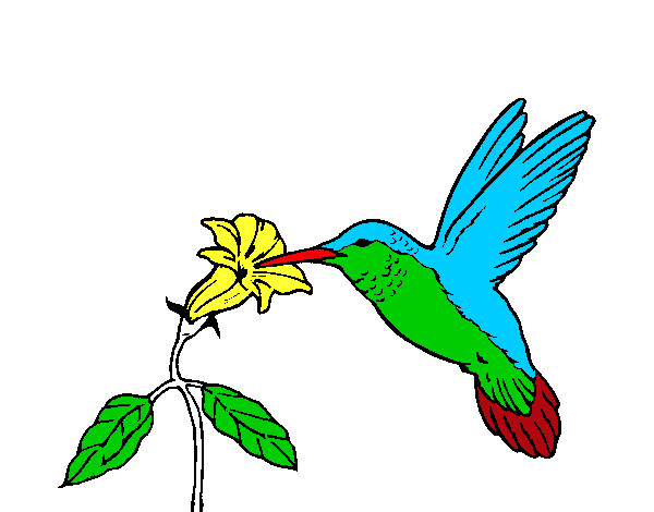 Dibujo Colibrí y una flor pintado por fcm1954