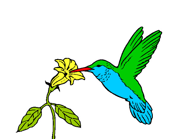 Dibujo Colibrí y una flor pintado por perlit