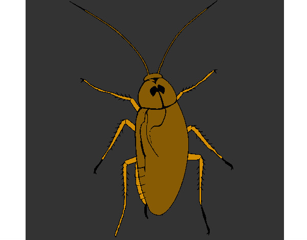 Dibujo Cucaracha grande pintado por fanyto