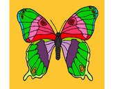Dibujo Mariposa 7a pintado por yalin
