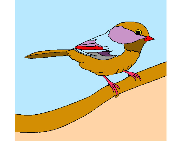 Dibujo Pájarito 1 pintado por fcm1954