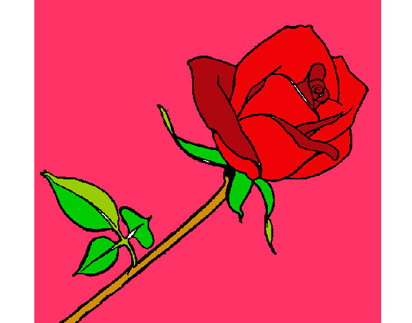 Dibujo Rosa pintado por Yuyitp 