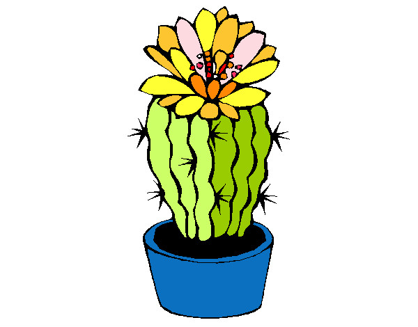 Dibujo Cactus con flor pintado por Opuntia