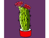 Dibujo Cactus con flores pintado por Opuntia