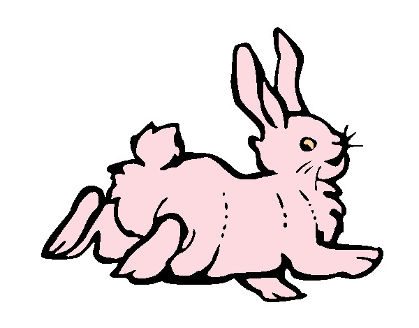 Dibujo Conejo contento pintado por alianna