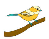 Dibujo Pájarito 1 pintado por nico2567