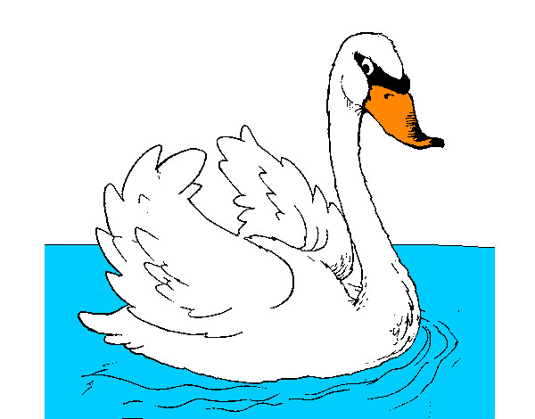 Dibujo Cisne en el agua pintado por zara2358