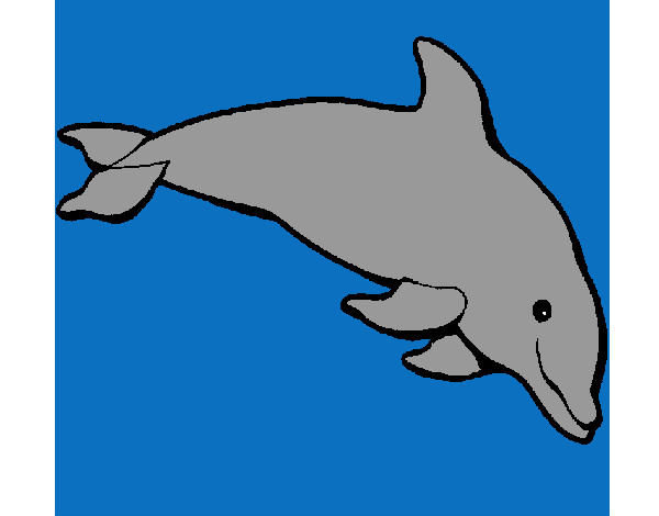 Dibujo Delfín contento pintado por kateprince