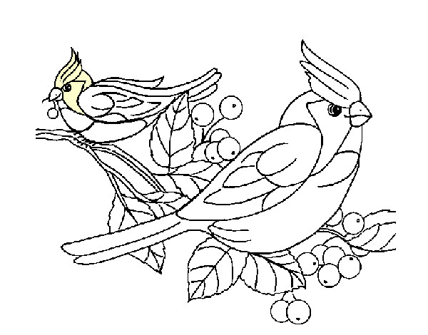 Dibujo Pájaros pintado por yelyz
