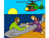 Dibujo Rescate ballena pintado por holi