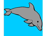 Dibujo Delfín contento pintado por yare02