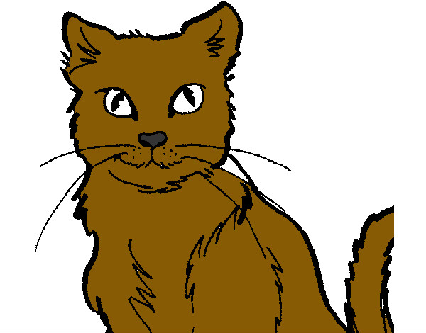 Dibujo Gato 2 pintado por MAITCU
