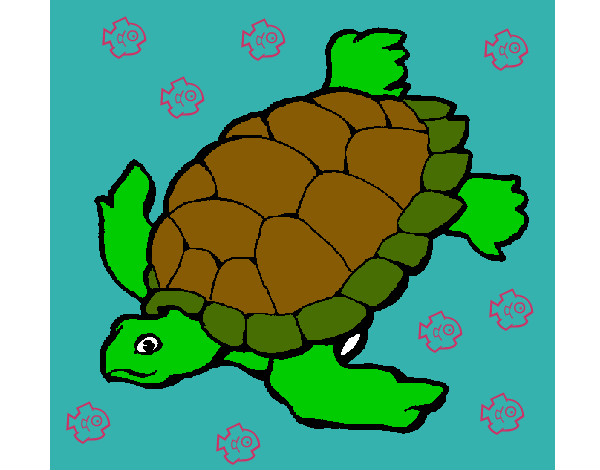 Dibujo Tortuga pintado por babbyblue