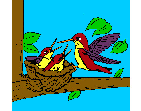Dibujo Familia colibrí pintado por biaani9