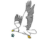 Dibujo Águila volando pintado por jojito