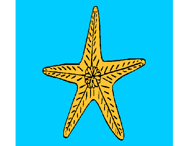 Dibujo Estrella de mar pintado por Danielit0