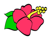 Dibujo Flor de lagunaria pintado por jojito