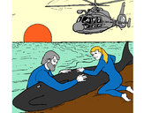 Dibujo Rescate ballena pintado por AlCatOnito