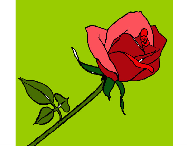 Dibujo Rosa pintado por Rosi147