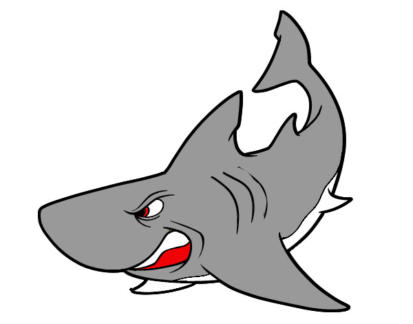 Dibujo Tiburón enfadado pintado por AlCatOnito