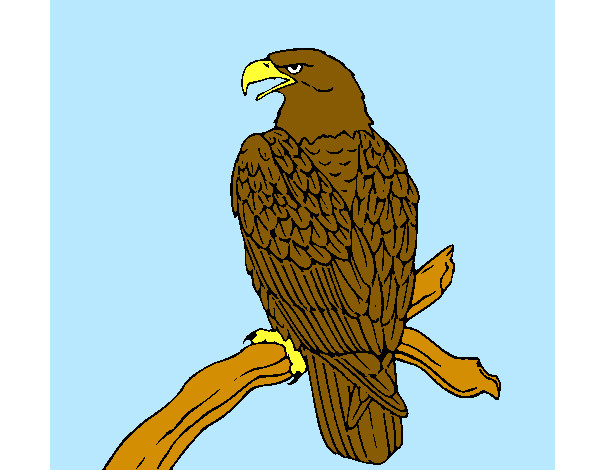 Dibujo Águila en una rama pintado por ixhel