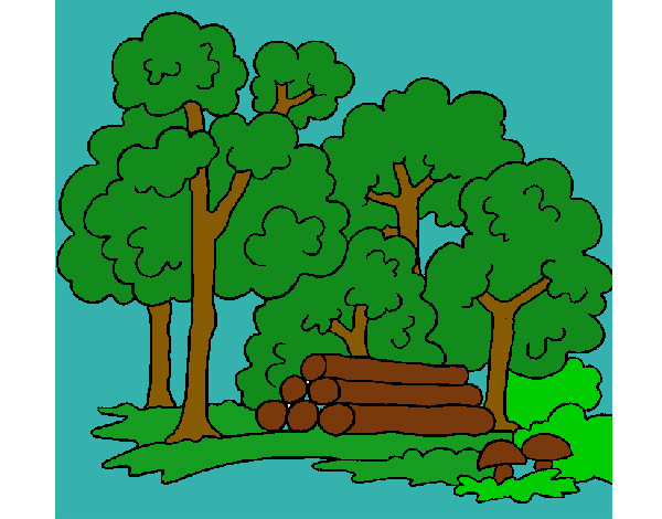 Dibujo Bosque 2 pintado por chikibroka