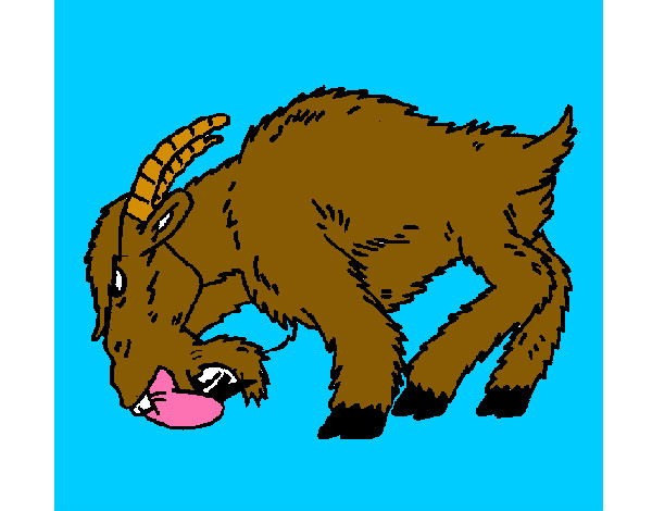 Dibujo Cabra enfada pintado por mirkonicol