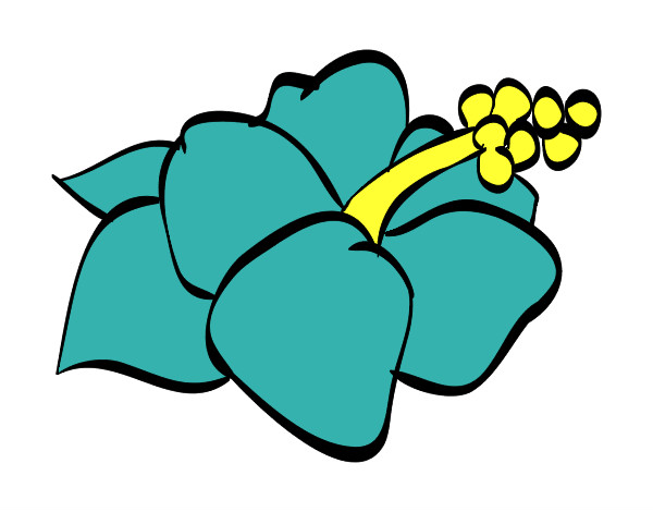 Dibujo Flor de lagunaria pintado por ixhel