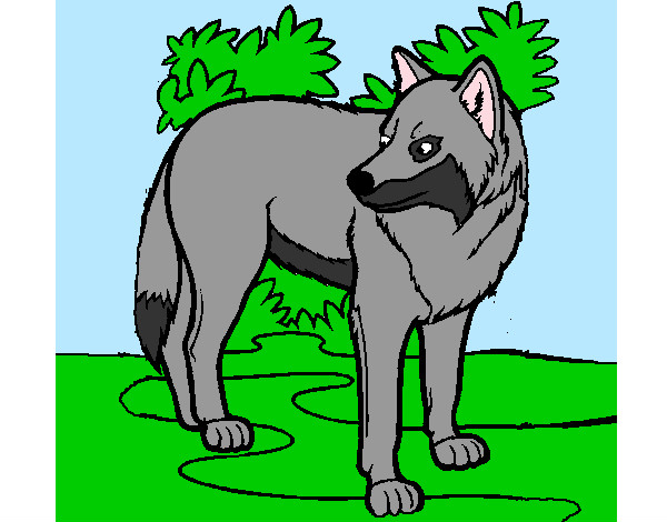Dibujo Lobo pintado por ixhel