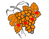 Dibujo Racimo de uvas pintado por lunapyok
