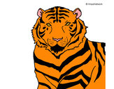 Dibujo Tigre 3 pintado por idoiatxo28