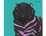 Dibujo Tigre 3 pintado por ixhel