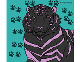 Dibujo Tigre 3 pintado por ixhel