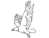 Dibujo Águila volando pintado por wiskas
