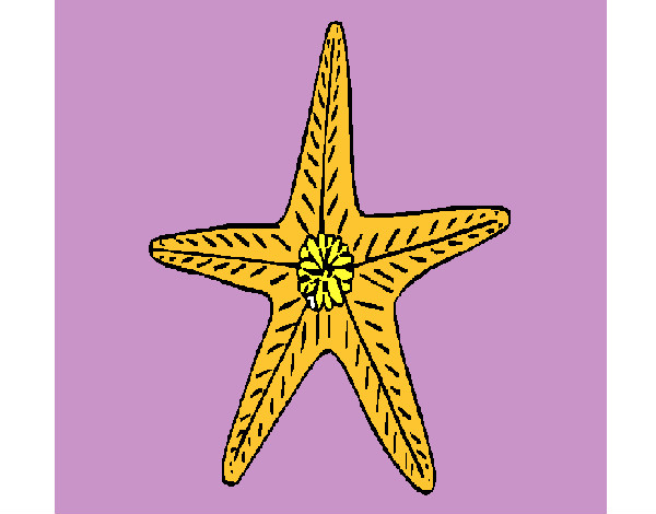 Dibujo Estrella de mar pintado por sopita