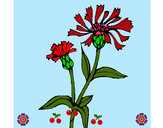 Dibujo Flores de campo 1 pintado por beatrizele