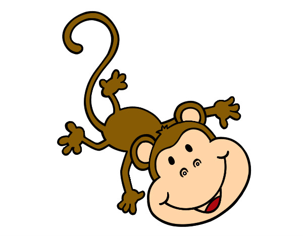 Mono gracioso