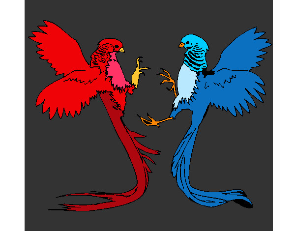 Dibujo Aves con largas colas pintado por CaluV
