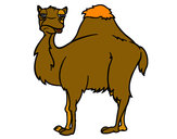 Dibujo Camello aburrido pintado por googlecito