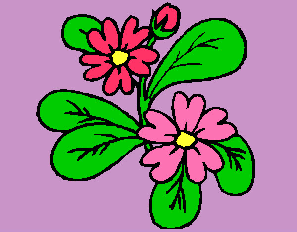 Dibujo Flores 4a pintado por 03Valito